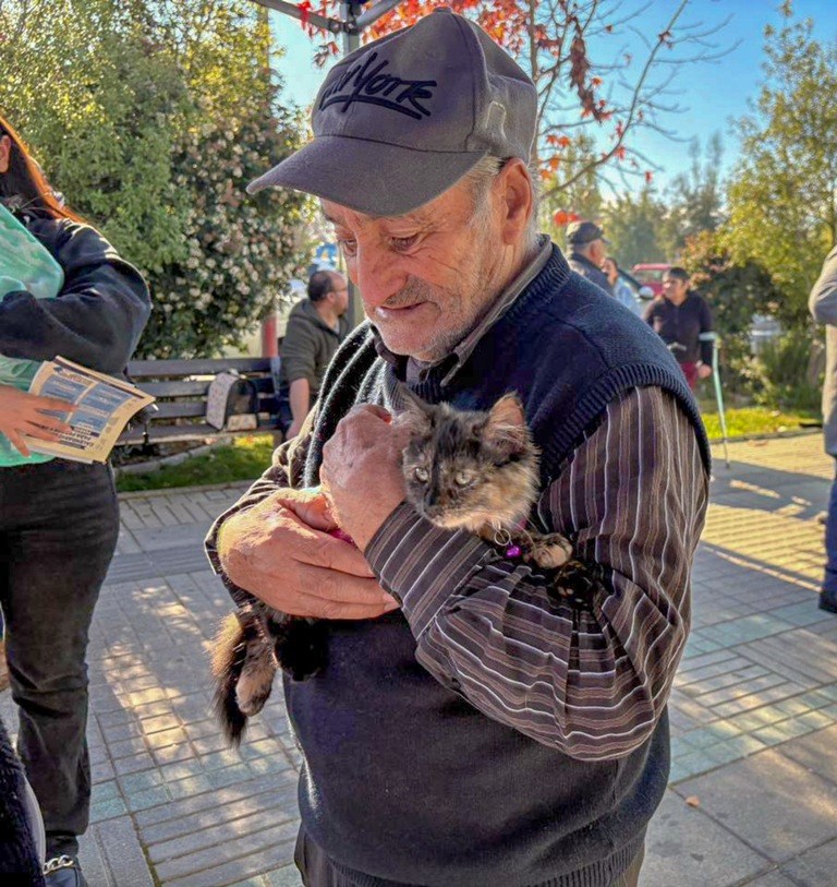 DESPLIEGAN OPERATIVO VETERINARIO PARA MASCOTAS EN LONTUÉ