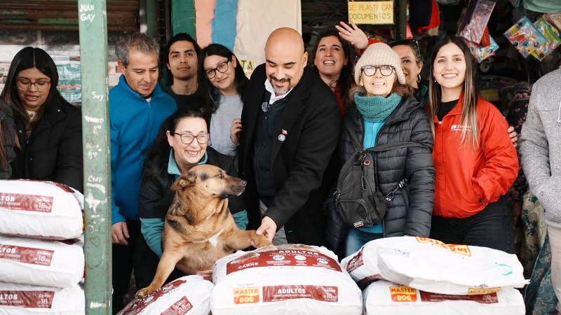 GRACIAS A GESTIÓN MUNICIPAL CANALIZÓ DONACIÓN DE ALIMENTO DE EMPRESA CAROZZI PARA PERRITOS CALLEJEROS DE MOLINA
