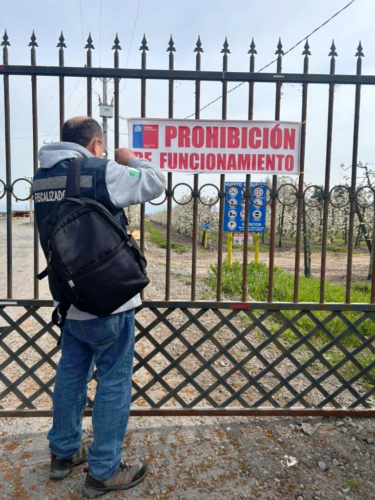 AUTORIDADES CONCRETAN CIERRE DE EMPRESA POR USO DE GUANO HÚMEDO QUE GENERABA MALOS OLORES EN CURICÓ