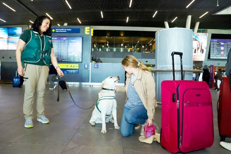 AEROPUERTO SANTIAGO DE CHILE Y MINISTERIO DE AGRICULTURA INFORMAN AUMENTO DE VIAJES CON MASCOTAS Y LLAMAN A PREPARARSE CON ANTICIPACIÓN